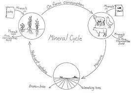 draw mineral cycle. - Brainly.in