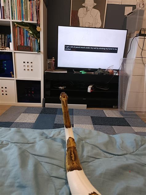 Snek enjoying Emkay "all of r/MILDLYINFURIATING" : r/EmKay