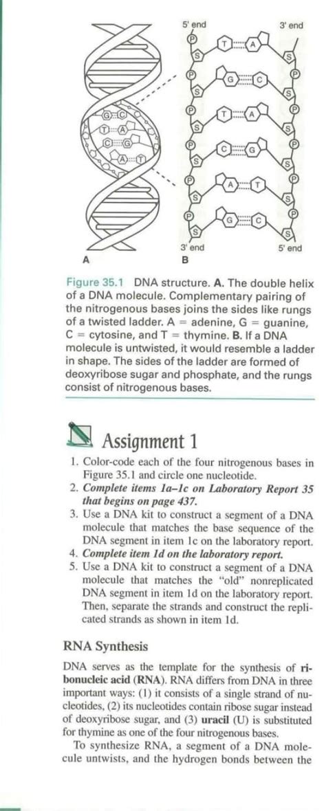 Image result for DNA Tutorial