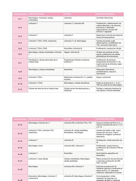 Image result for CodeHS Fundamentals of Computing 5 Overview Answer Key