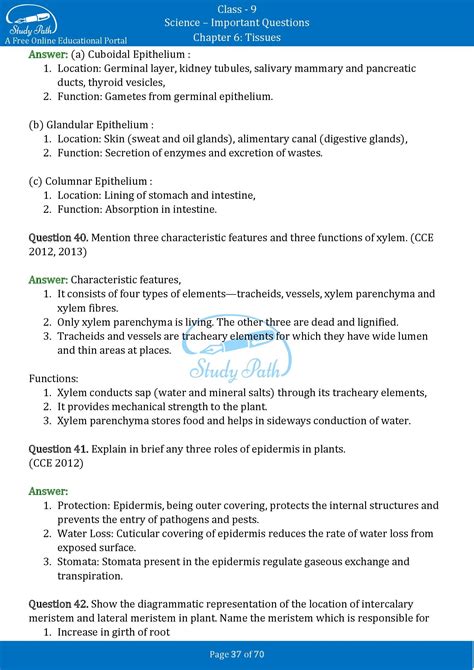 Image result for Case Study Based Question Science Class 9 Tissues