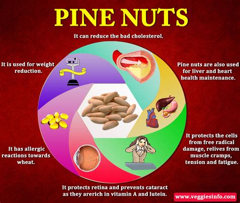 Cream White Pine nuts Health Benefits | Veggies Info