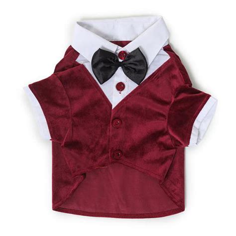 Wedding Outfits For Dogs | Barks & Wags