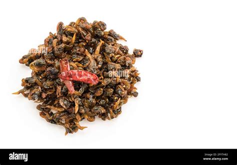 Image result for Razor Shellfishing