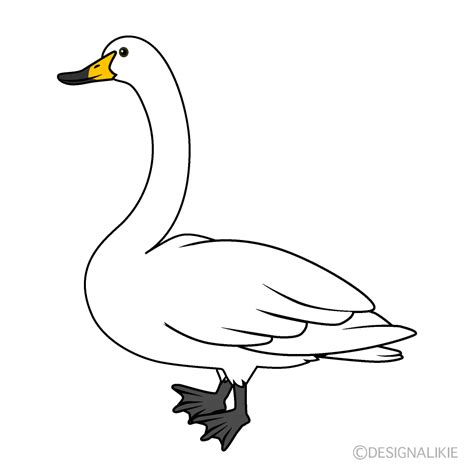 Image result for Scope En Python