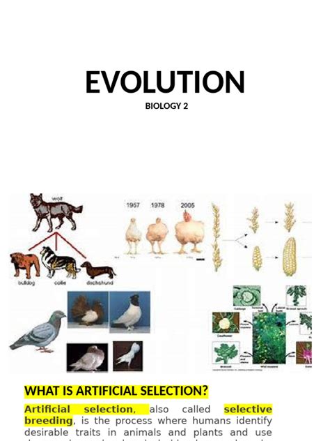 Image result for Evolution Topics