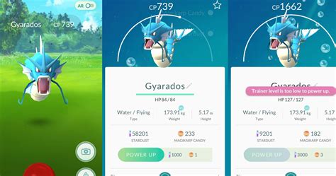 Gyarados In Pokémon GO: Best Moves & Strategies