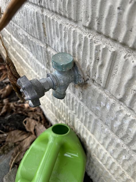 Do You Need a Plumber to Replace Outdoor Spigot? Expert Tips