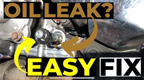 Lower Unit Leaking Oil Full Content Media #822