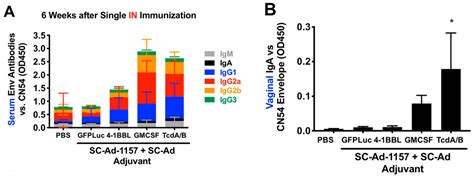 Genetic Adjuvants in Replicating Single-Cycle Adenovirus Vectors ...