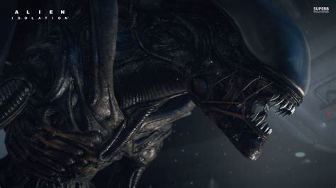 Image result for Alien Isolation Xenomorph