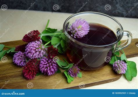 Red Clover Tea Organic Bio Healthy Stock Image - Image of alternative ...