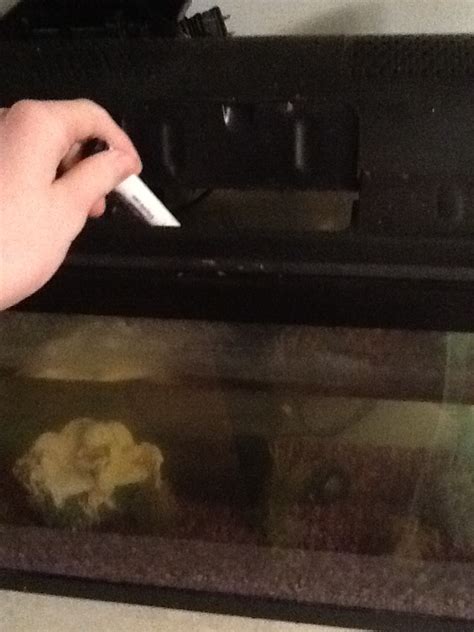 Object r34 v2 by alexlion0511 on DeviantArt