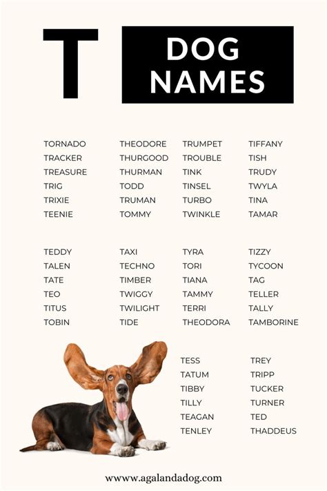 T Male Dog Names at Sarah Boydston blog