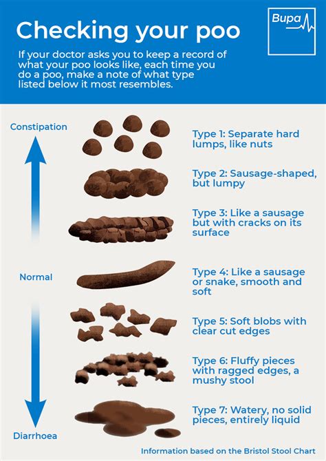 Poop Stool 的图像结果