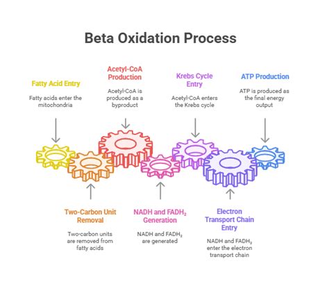 Image result for Knowledge Management Process Flow