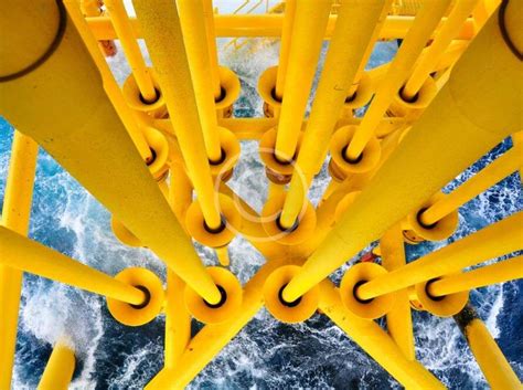 Our Clients – Trashly International