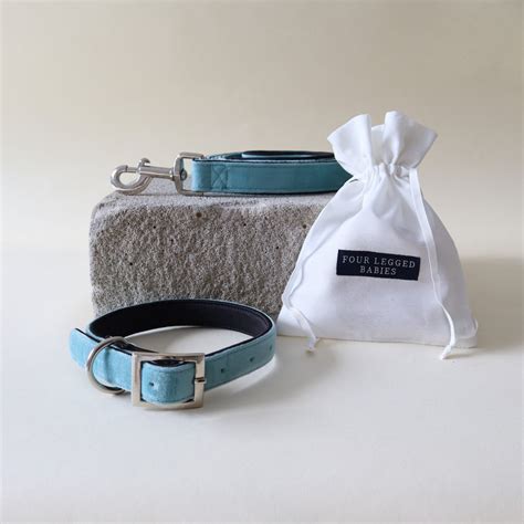 Soft sky Collar & Leash set – FourLeggedBabies
