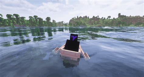 Image result for How Do I Install Physics Mod Pro