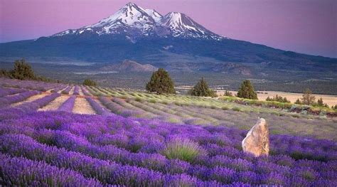 HOTEL URSALINA (Bad Ragaz) - Hotel Reviews & Photos - Tripadvisor