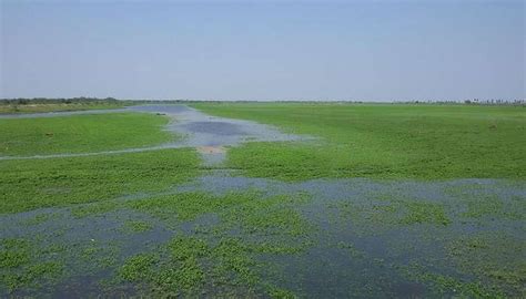 Manginapudi Beach Is One Of The Best Coastal Destination