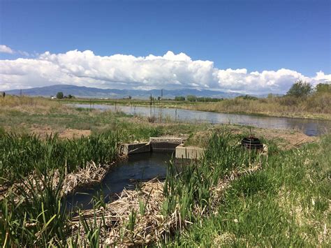 Rio Grande State Wildlife Area Design Project - Rio Grande Basin Roundtable