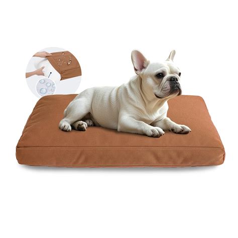 Amazon.com : Miguel Durable Canvas Dog Bed, Waterproof Dog Bed with ...