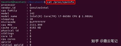 如何在Linux系统中使用Cat命令 [22个典型示例] - 知乎