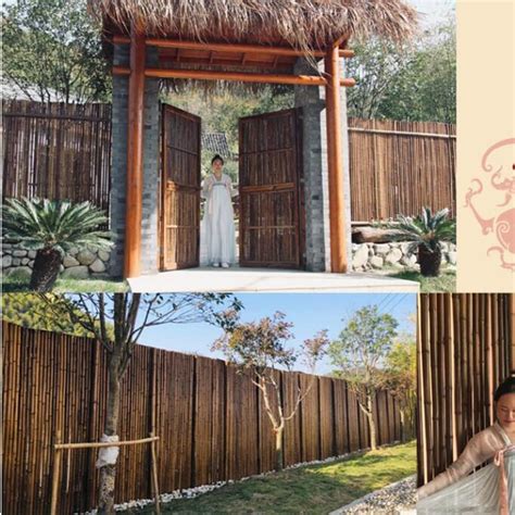 Etlegor Carbonization Bamboo Fences, Garden | Ubuy India