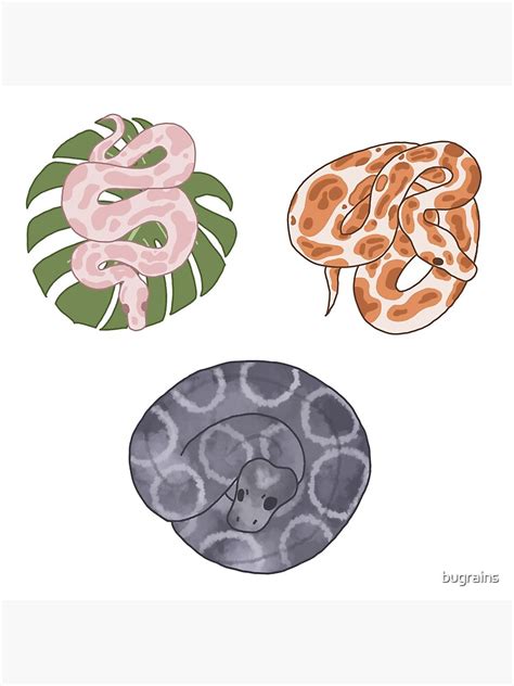 Image result for Red Bubble Ball Python Sticker