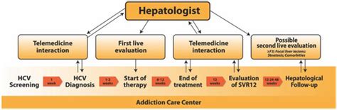 Can Telemedicine Optimize the HCV Care Cascade in People Who Use Drugs ...