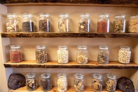 11092020_IntegrativeAcupuncture_Ericson_2000 - Integrative Acupuncture