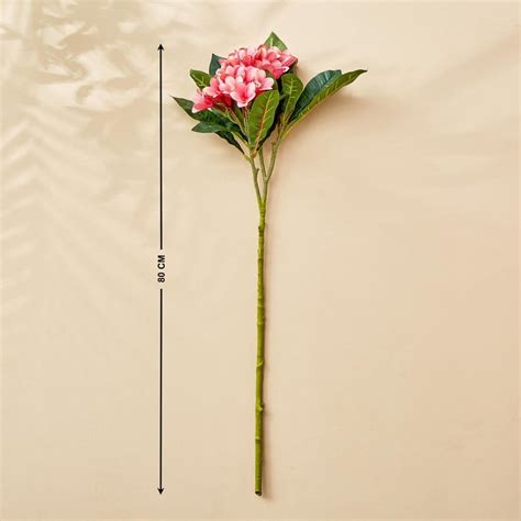 Buy Botanical Artificial Frangipani Flower - 80cm from Home Centre at ...
