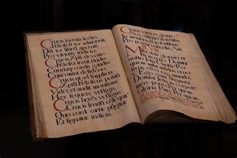 Qu’est-ce que les langues mortes ? - Trusted Translations, Inc.