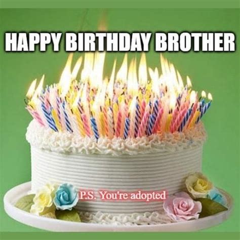 40+ Funny Birthday Memes for Brother from Sister