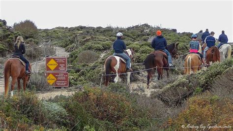 Salinas River State Beach Horseback Tours – Roadside Secrets