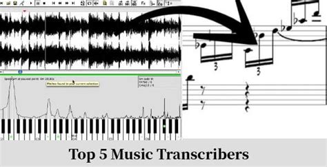 Image result for Tune Transcriber