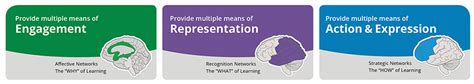 Image result for UDL Principles