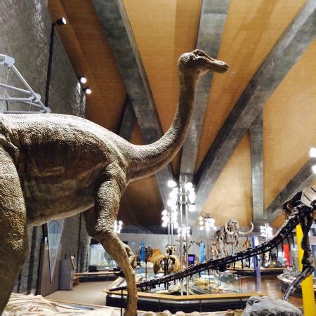 Tomioka Photos - Featured Images of Tomioka, Gunma Prefecture - Tripadvisor