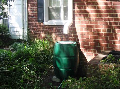 Rain Barrel Installation