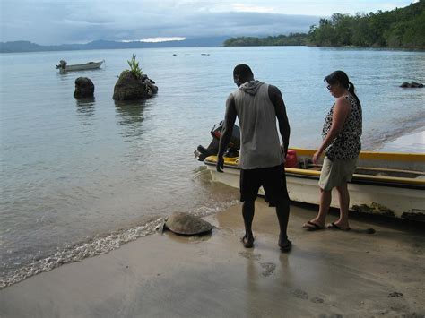 TETEPARE ISLAND ECO-LODGE (Munda) - Resort Reviews & Photos - Tripadvisor