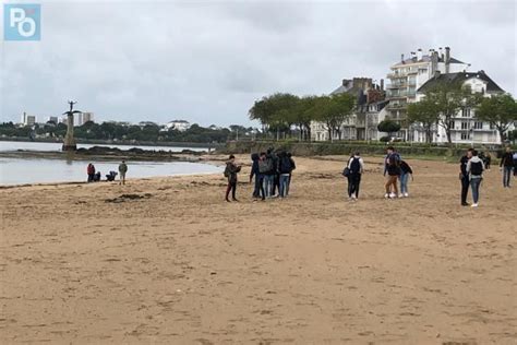 Saint-Nazaire. Les élèves de 2e du lycée Notre-Dame-d’Esperance ...