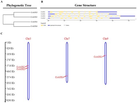 Effect of Partial Elimination of Mitochondrial DNA on Genome-Wide ...