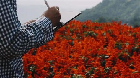 Building Green Screen 的图像结果