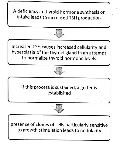 Organ Function Tests - Medical Science Optional Notes for UPSC PDF Download