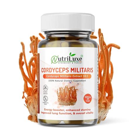 7 Best Cordyceps Supplements of 2025 in India, According To Experts