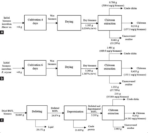 Chemical and antibacterial properties of chitosan derived from Mucor ...