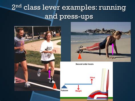 Image result for Class 2 Lever