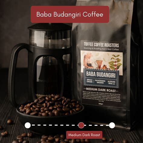 Baba Budangiri Estate Coffee | Toffee Coffee Roasters