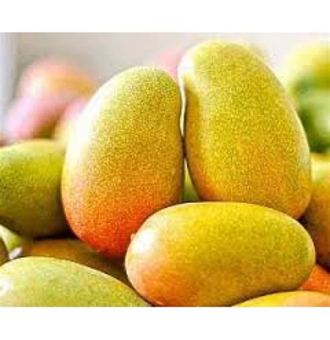 Buy Organic Imam Pasand Mango Online in Bangalore - Healthy Buddha